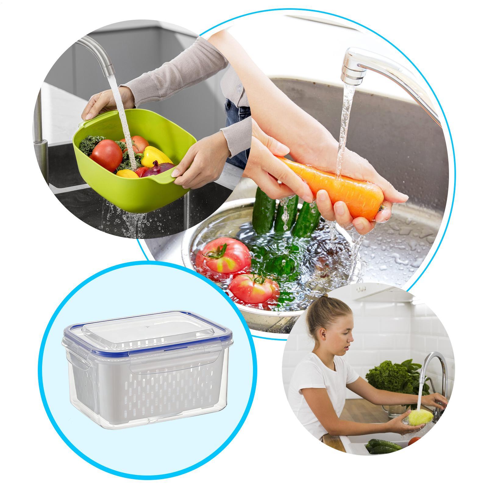 4 In 1 Food Storage Container  - đánh giá và giá Food Storage Containers
