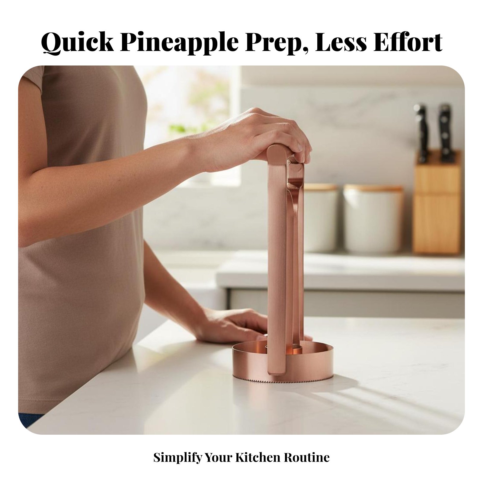 Stainless Steel Pineapple Cutt - đánh giá và giá Kitchen Gadgets And Tools