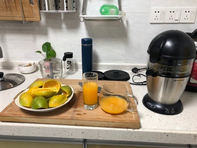 Electric Citrus Juicer – Fresh - đánh giá và giá Citrus Lemon Squeezer