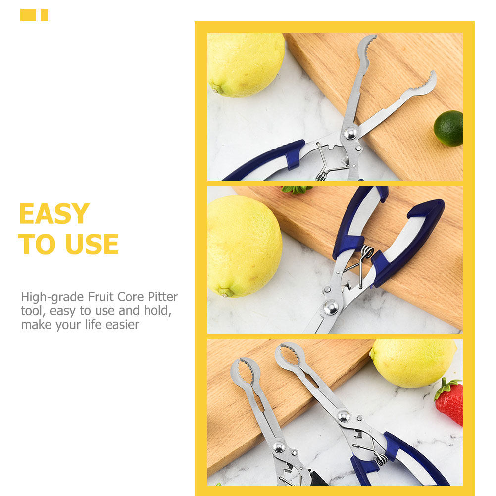 Stainless Steel Hawthorn Pitte - đánh giá và giá Kitchen Gadgets And Tools