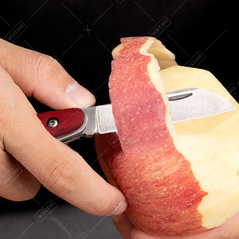 Stainless Steel Pocket Knife R - đánh giá và giá Kitchen Gadgets You Need