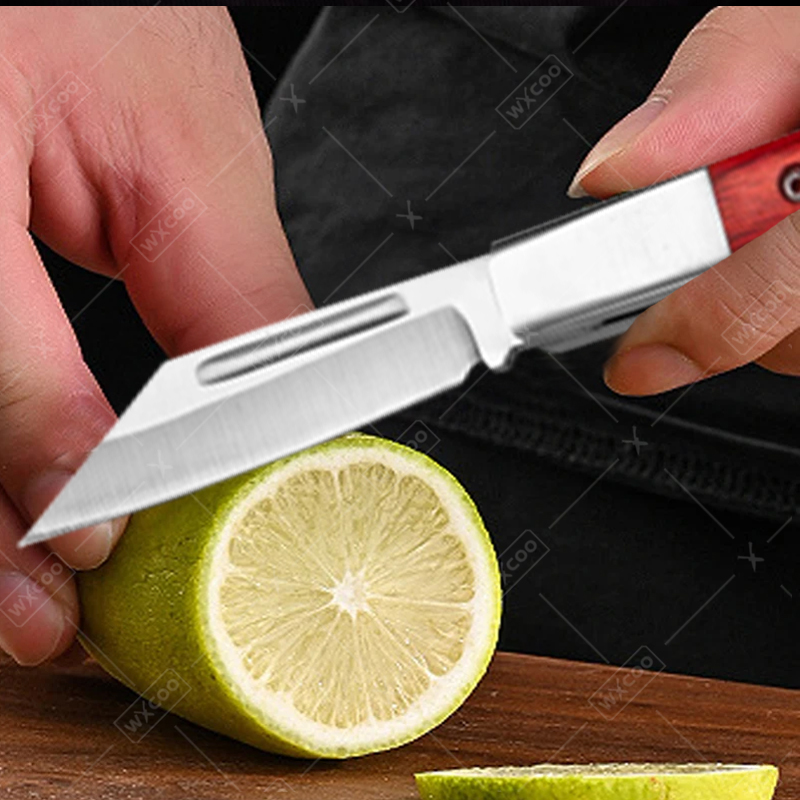 Stainless Steel Pocket Knife R - đánh giá và giá Kitchen Gadgets You Need